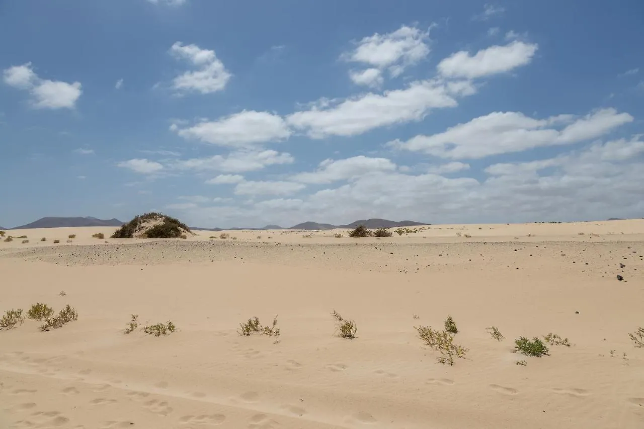 Apartment Lightbooking Paradise Home Corralejo Spain